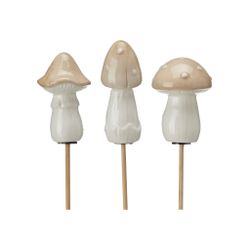 Svamp sticks