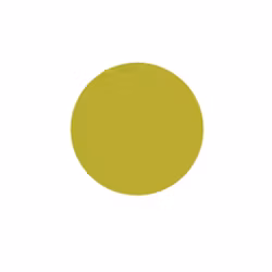 Rill - Olive