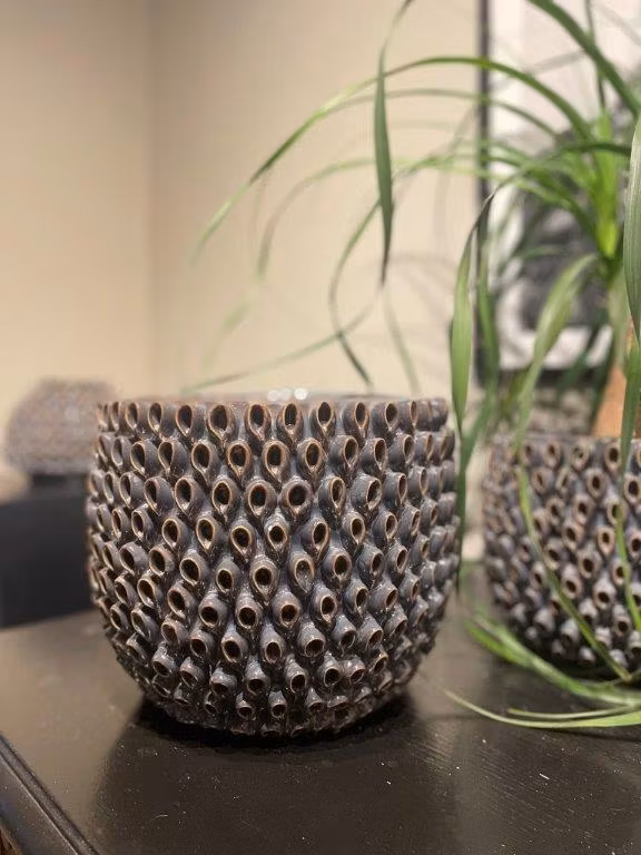 Botanica - Grafit/Blå/Guld