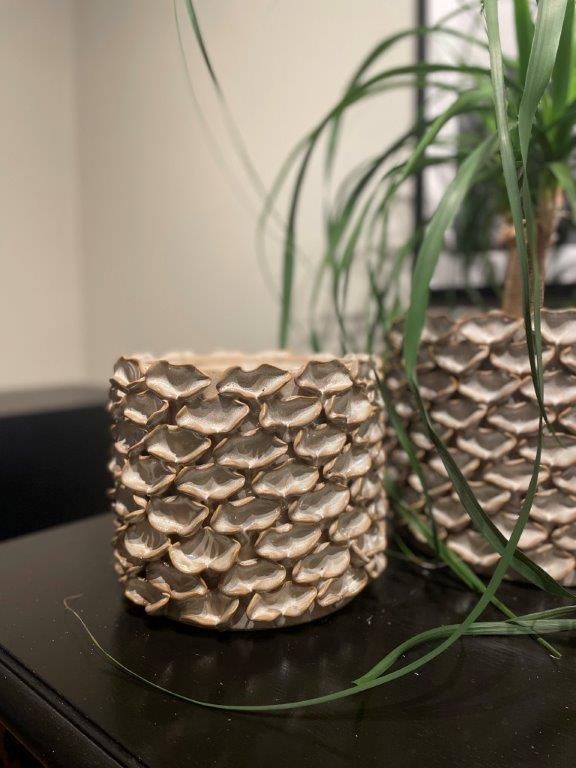 Botanica - Beige