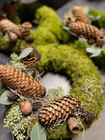 Mosskrans - Kottar