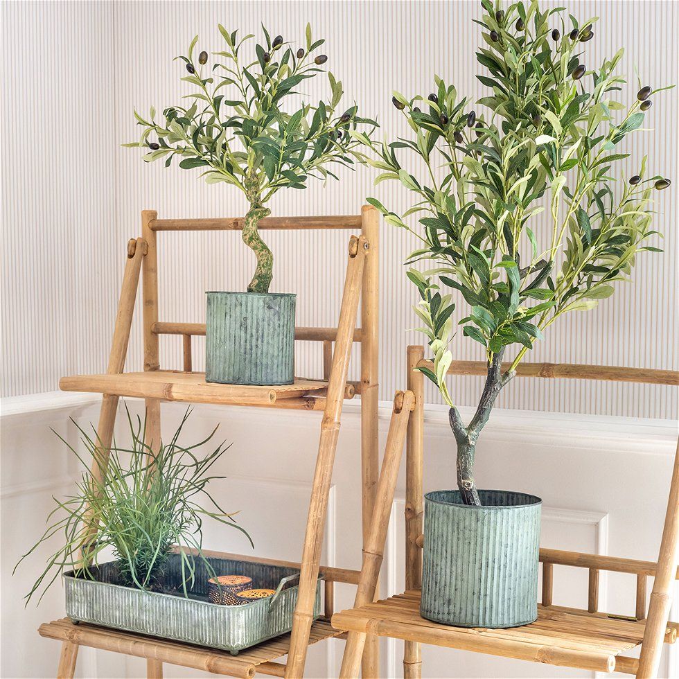 Zinkkruka - Classy Green