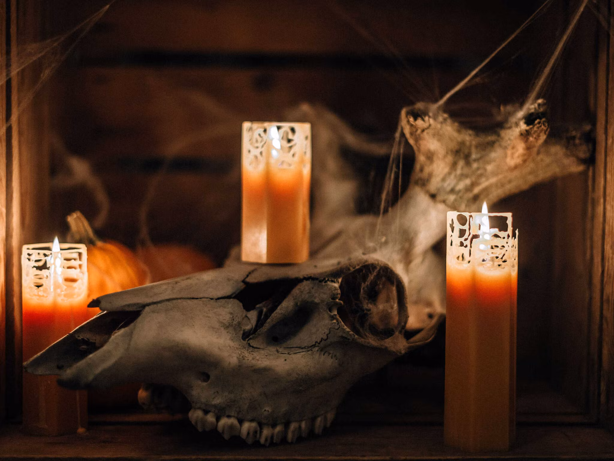 Spider candle Subscription