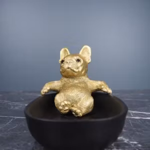 Fralla som slappar i ett fat