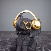 Rock it like an Elephant