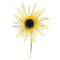 Italian White