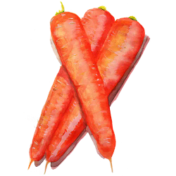 Long Orange