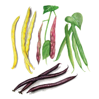 Låg Mix