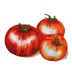 Tigerella