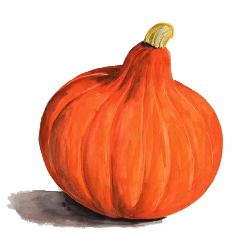 Uchiki Kuri