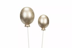Ballong stick, Champange