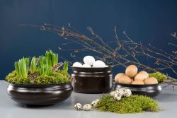 Vaktelägg Natur