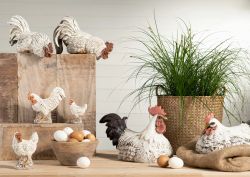 Hönsägg bruna