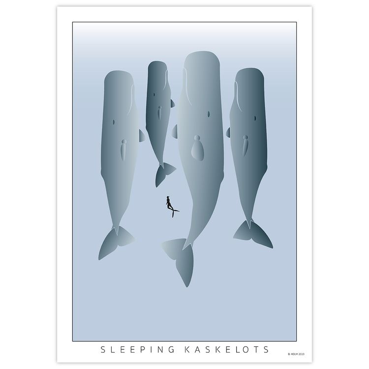 Poster Sleeping Kaskelot