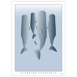 Poster Sleeping Kaskelot