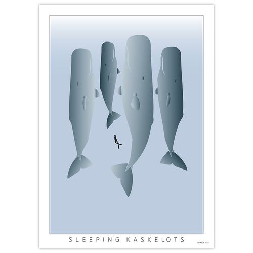 Poster Sleeping Kaskelot