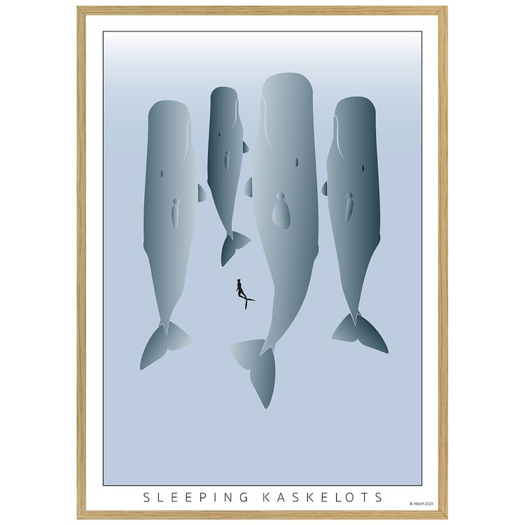 Poster Sleeping Kaskelot