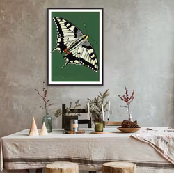 Poster Makaonfjäril
