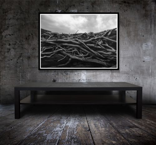 Foto Slingerväxt 70x50