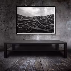 Foto Slingerväxt 70x50
