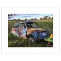 Foto Fiat i Gräset 50x40