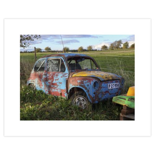 Foto Fiat i Gräset 50x40