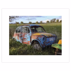 Foto Fiat i Gräset 50x40