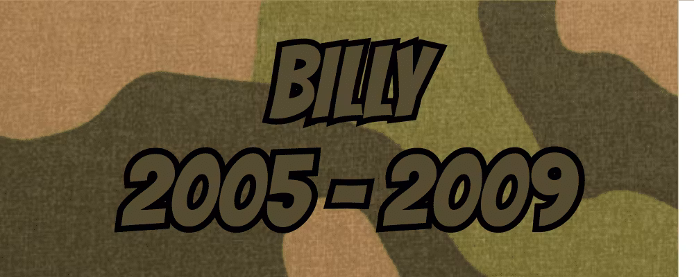 Billy 2005-2009 - Dippy.no