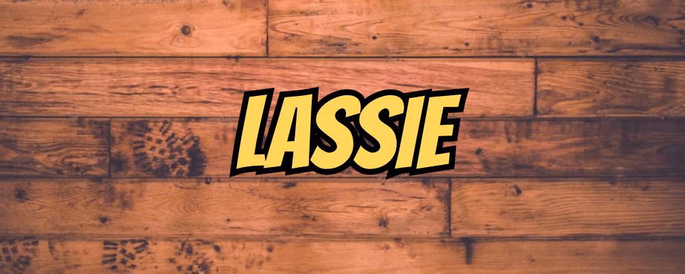 Lassie - Dippy.no
