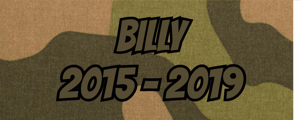 Billy 2015-2019 - Dippy.no