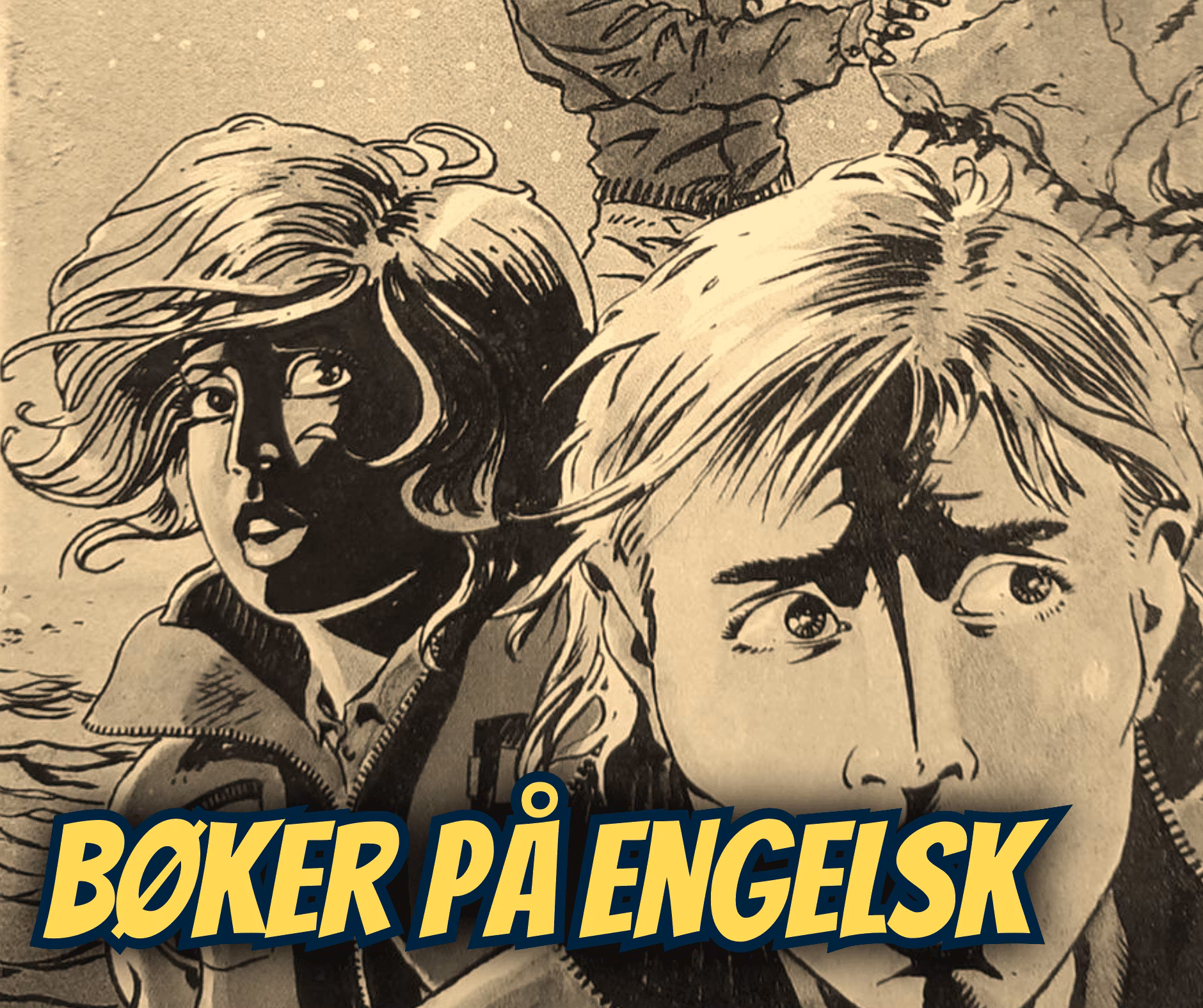 Bøker på engelsk - Dippy.no