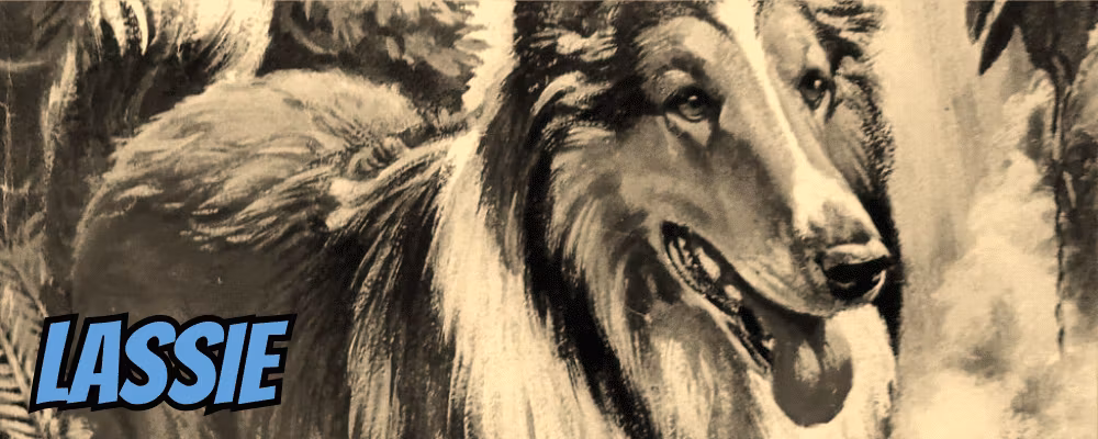 Lassie - Dippy.no