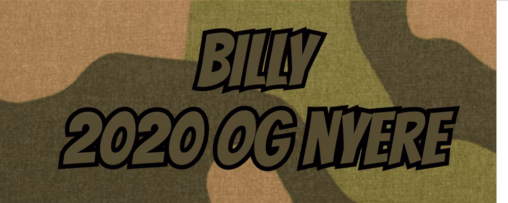 Billy 2020 - - Dippy.no