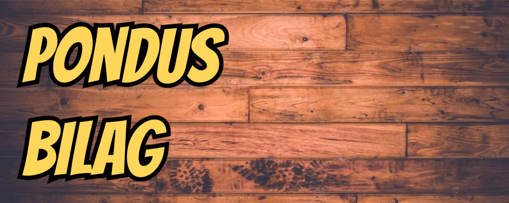 Pondus Bilag - Dippy.no