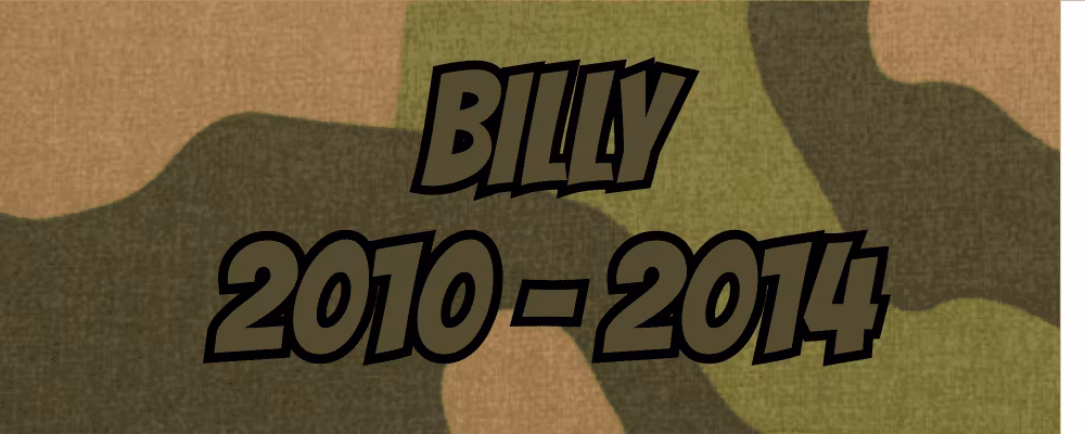 Billy 2010-2014 - Dippy.no