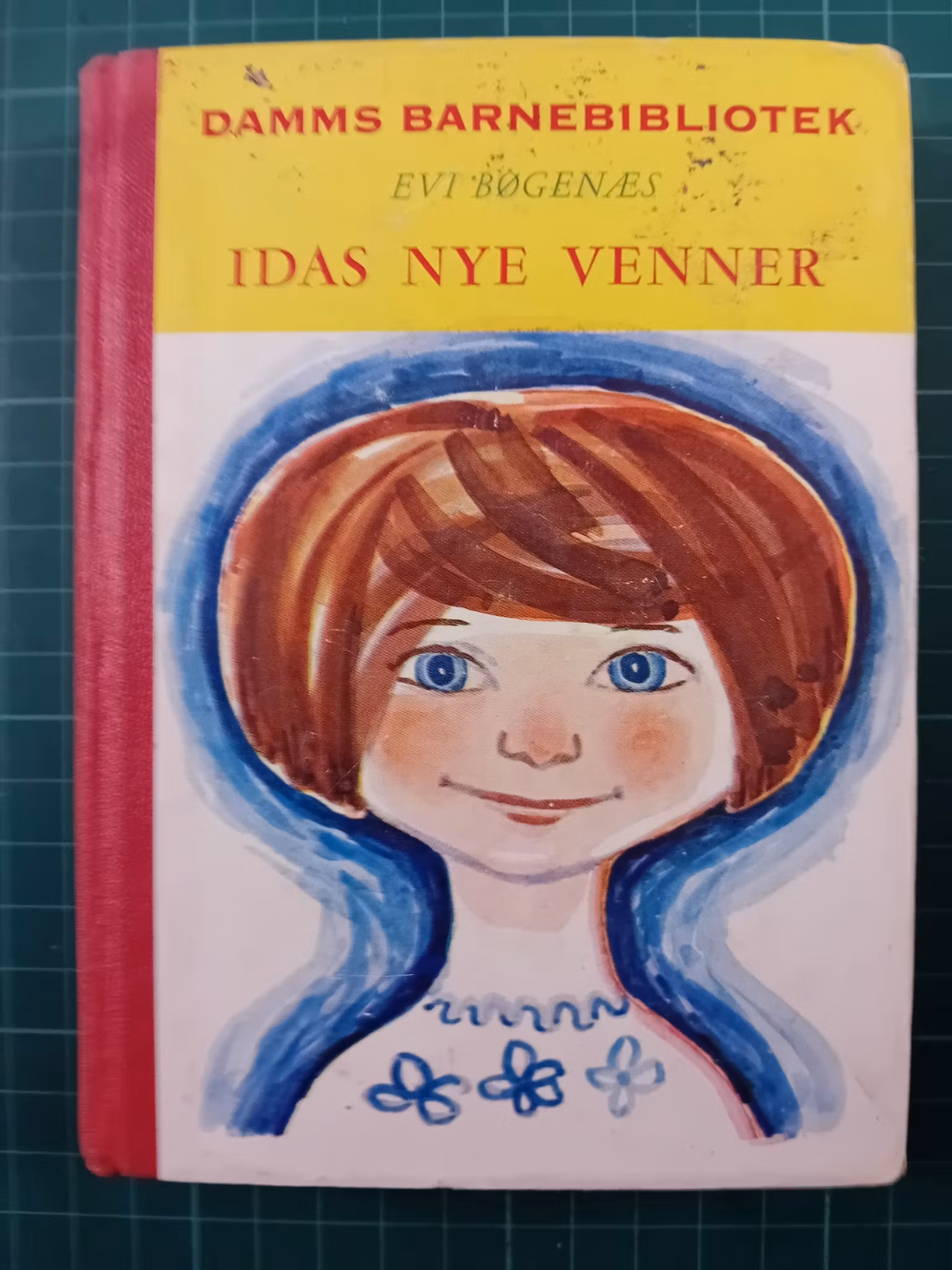 Damms barnebibliotek #05 Ida's nye venner