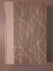 Men jeg kjente henne ikke