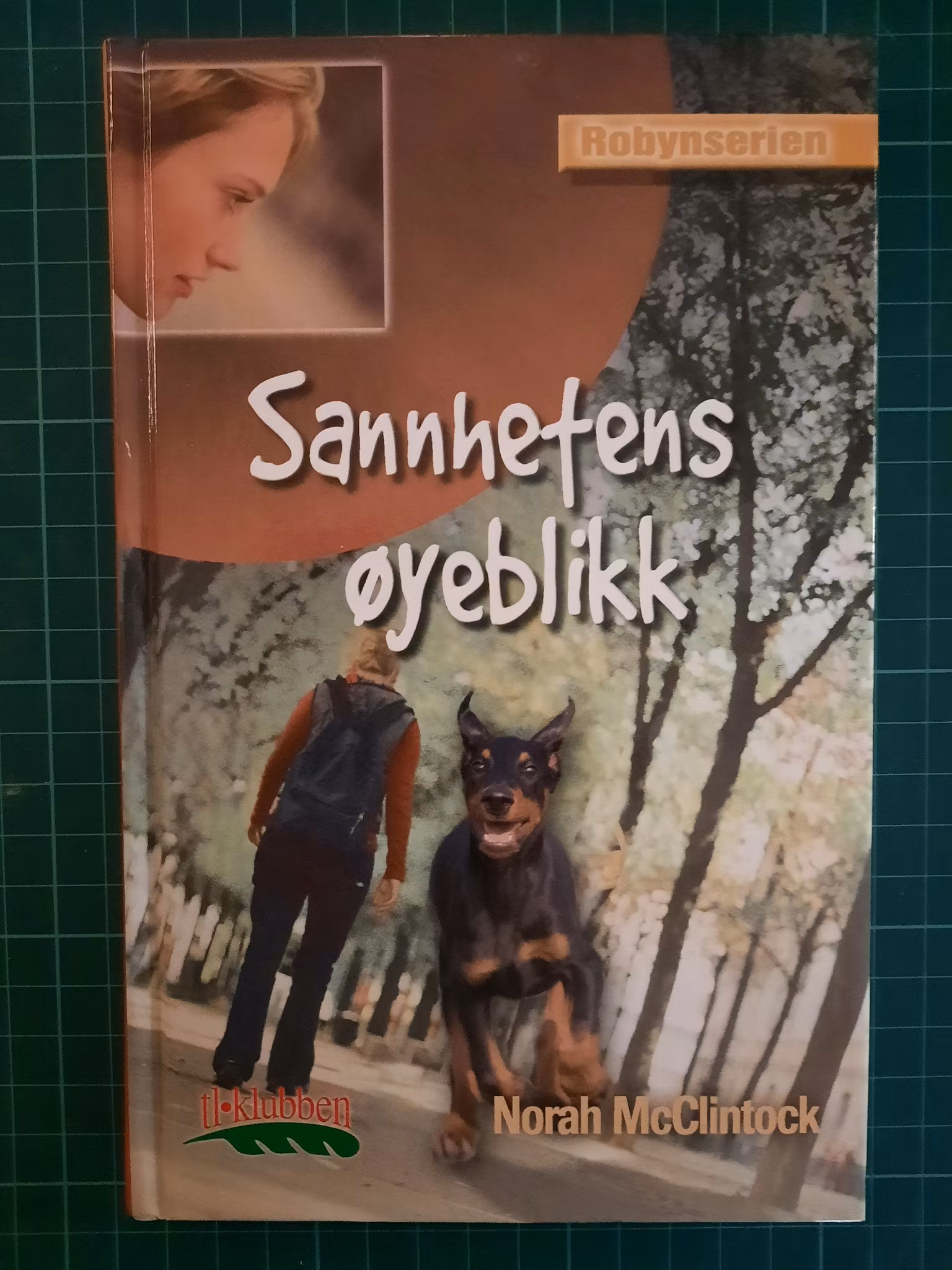 Sannheten øyeblikk
