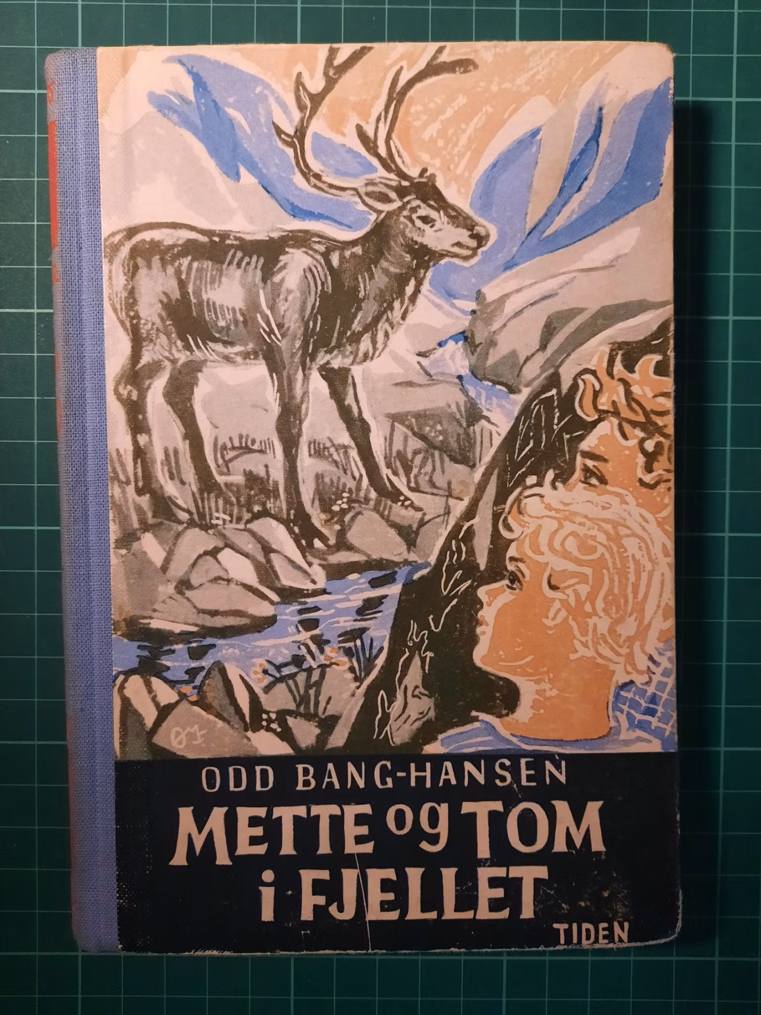 Mette og Tom i fjellet