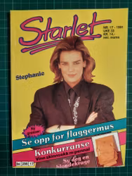 Starlet 1991 - 17