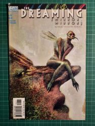 The dreaming mirror #46