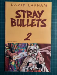 Stray bullets #2