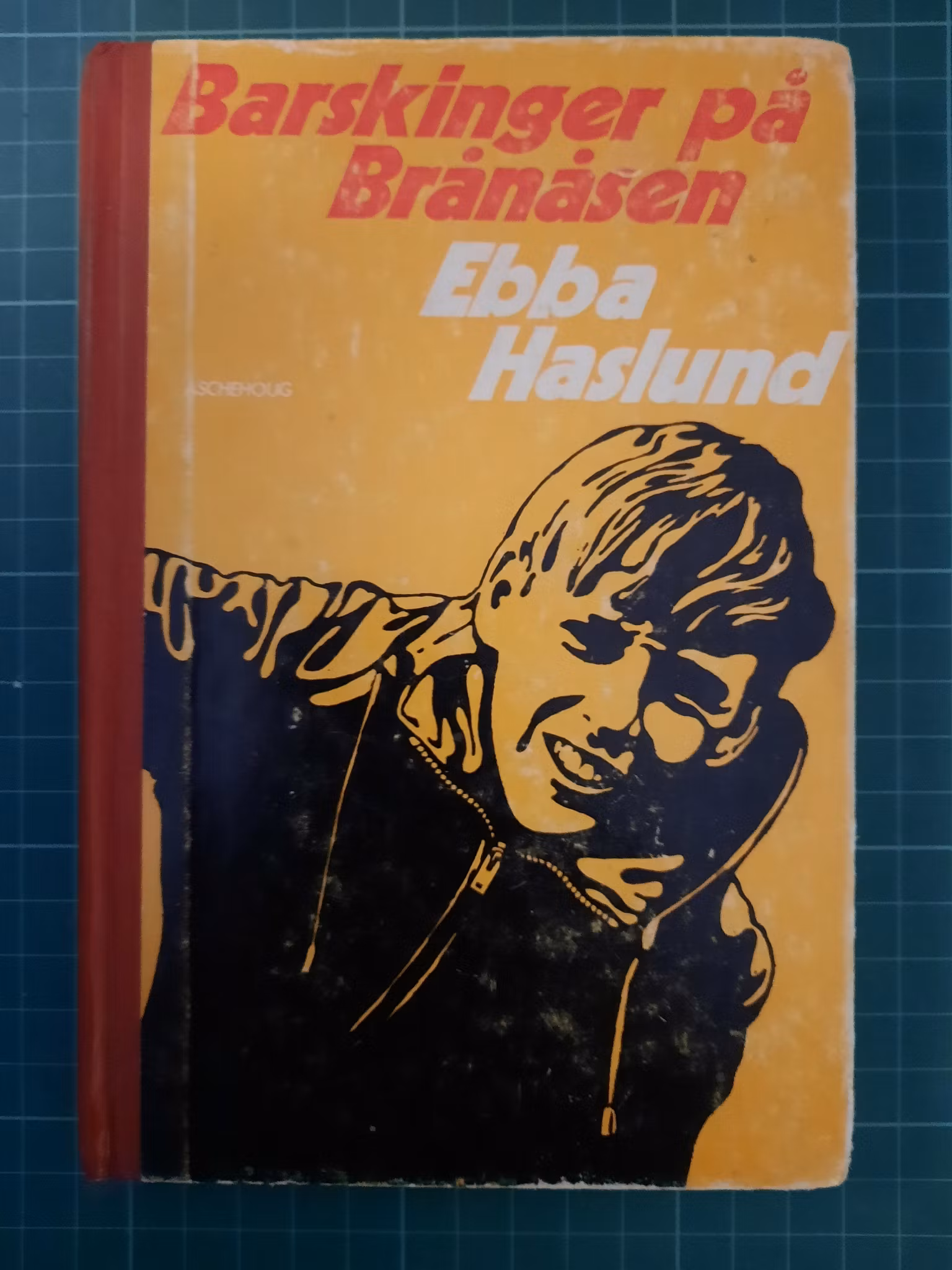 Barskinger på Brånåsen