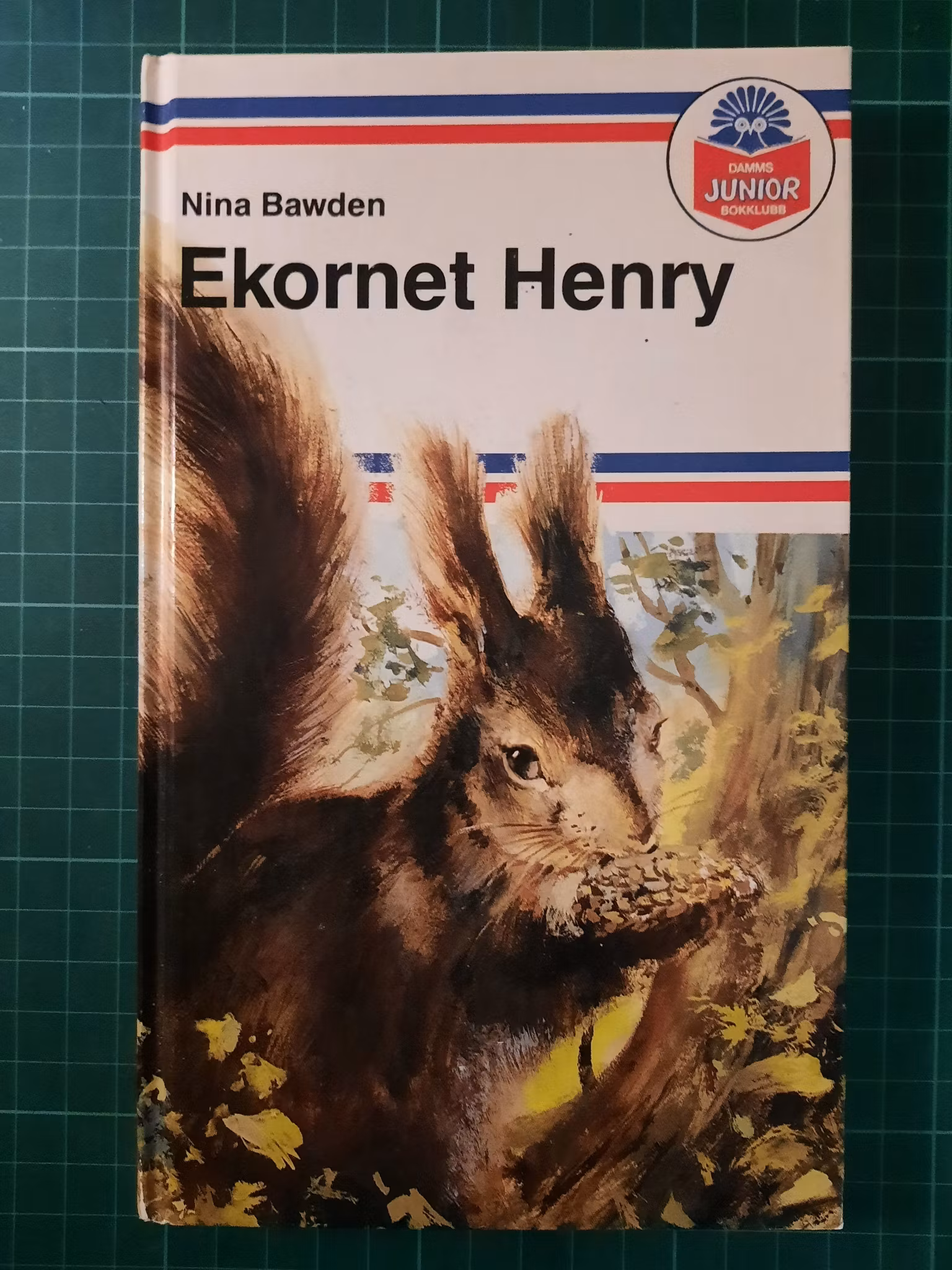 Ekornet Henry