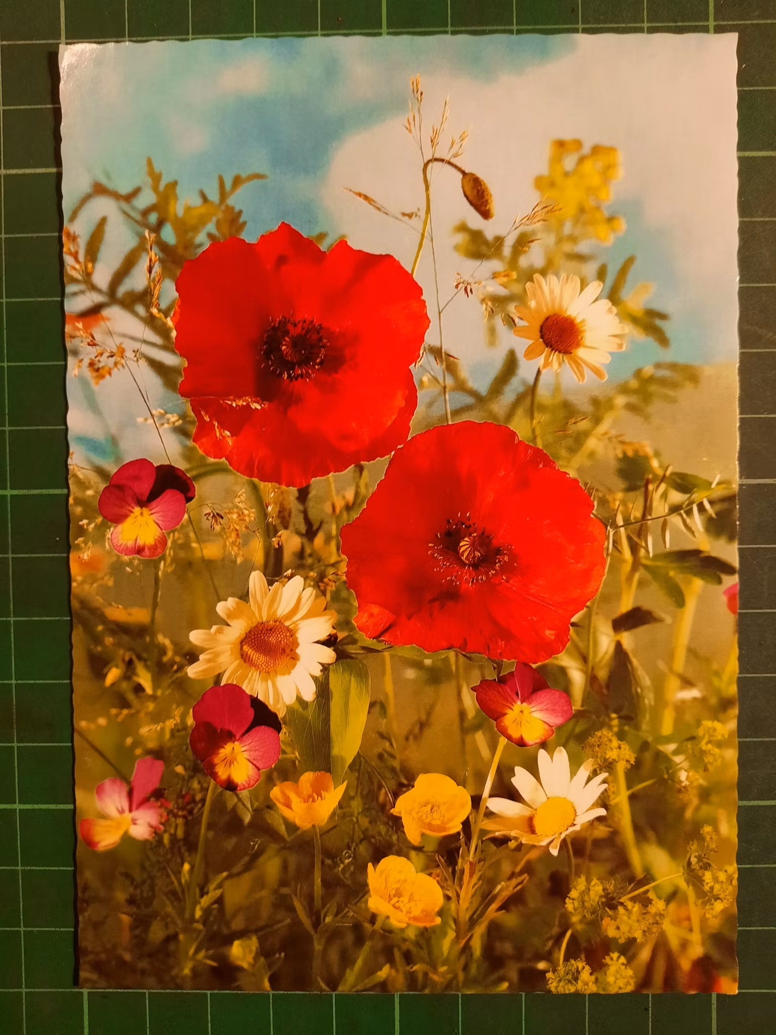 Gratulerer - Blomster