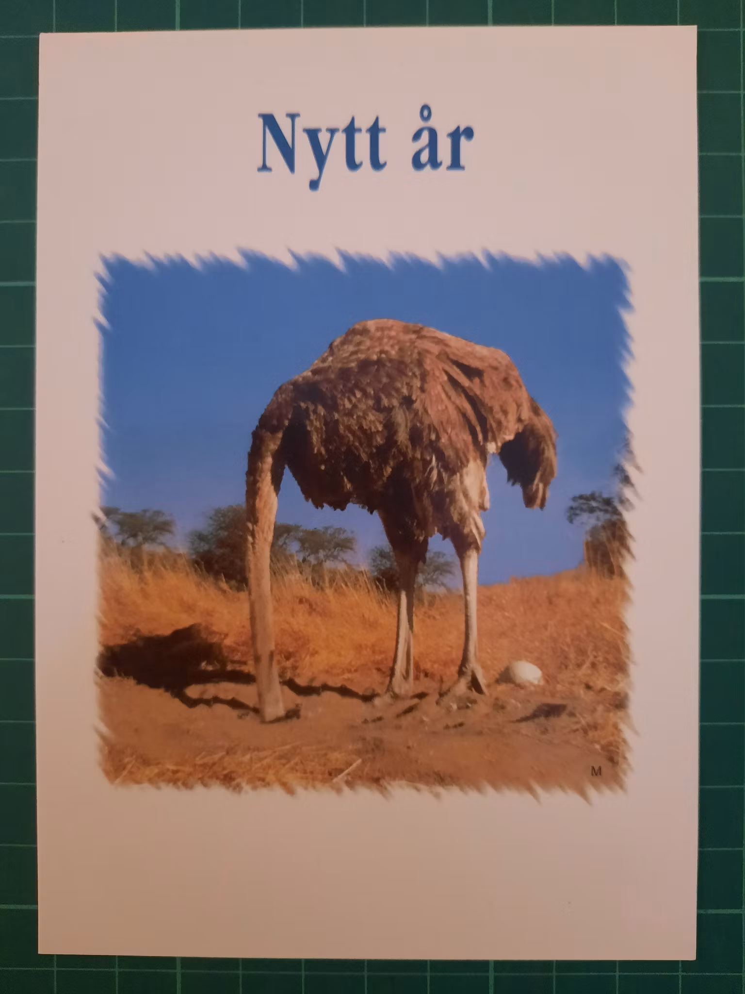 Nasjonalforeningen for helse