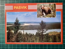 Pasvik