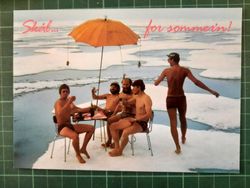 Skål... for sommer'n!