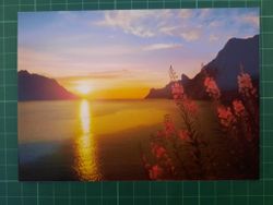 Senja - Midnattsol