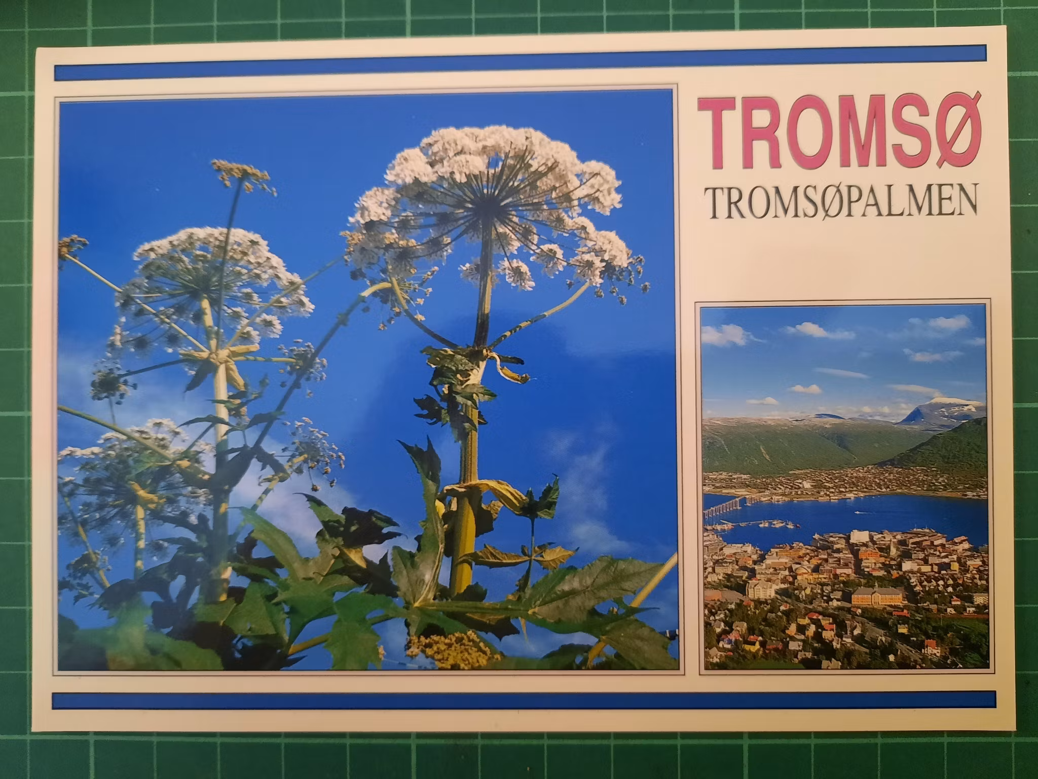 Tromsø - Tromsøpalmen